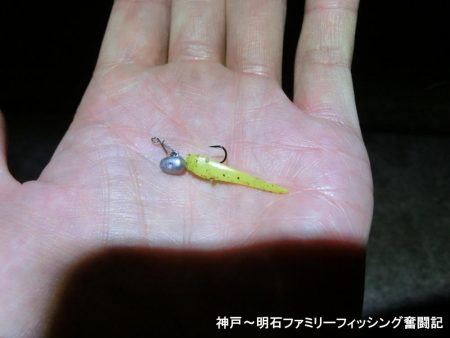 メバルと思ったらガシラでした