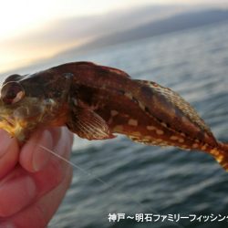 冷え込みファミリーフィッシング