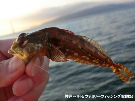 冷え込みファミリーフィッシング