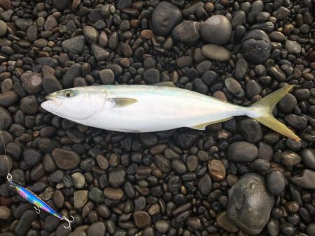 AFフィッシングクラブ遠征