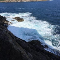 渡船でショアジギング