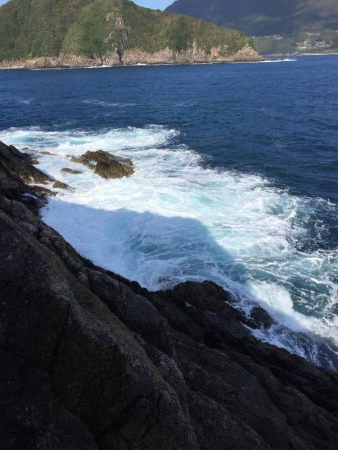 渡船でショアジギング