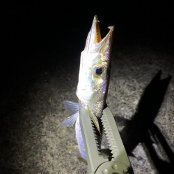 久々の三重釣行