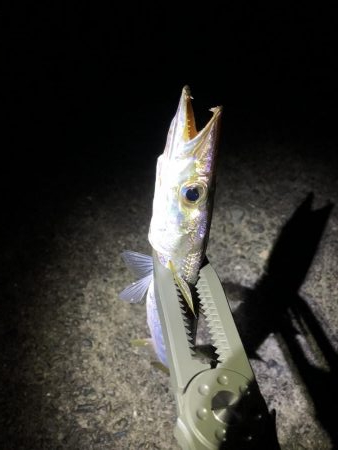 久々の三重釣行