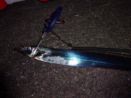 今週もドラゴン求めて