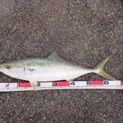 秋の最後に・・