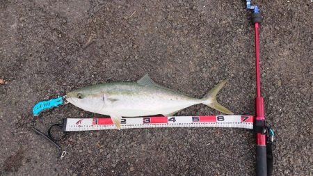 秋の最後に・・