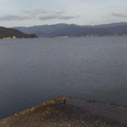 ナブラをものにできませんでした