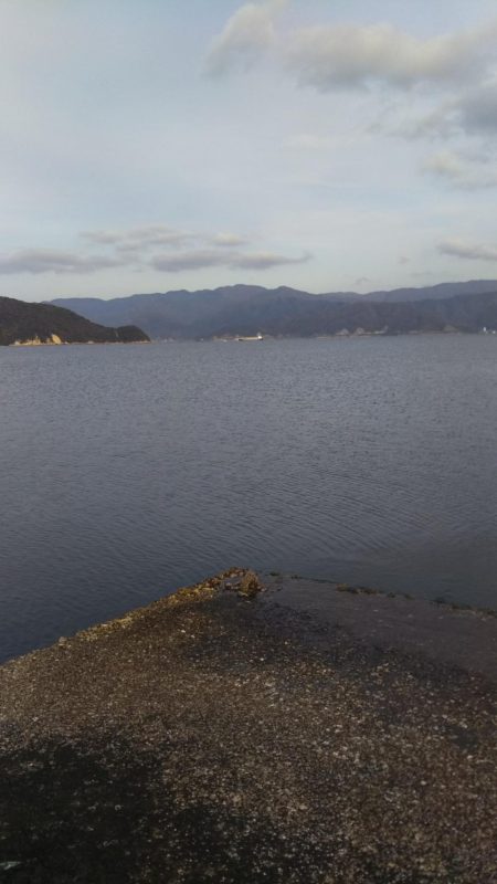 ナブラをものにできませんでした