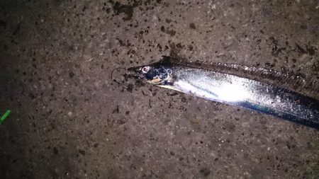 あんたも好きねぇ