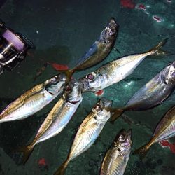 二馬力ボートタイラバ