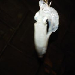 アジング&エギング