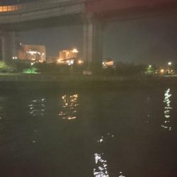 初シーバスゲット