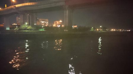 初シーバスゲット