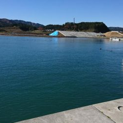 ちょい投げシーズン到来