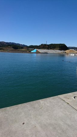 ちょい投げシーズン到来