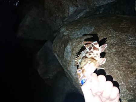 久しぶりの投稿