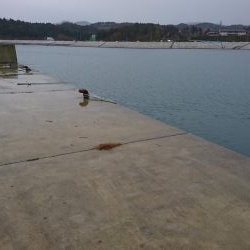 雨の中投げ釣り