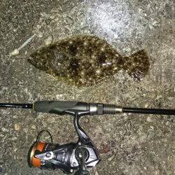 アジングのつもりが