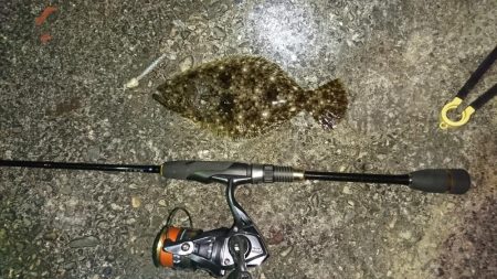 アジングのつもりが