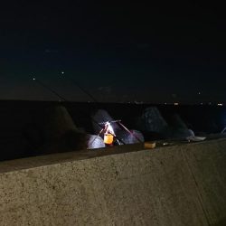 落ちギス、カレイ釣り