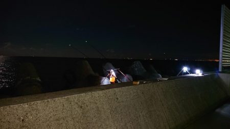 落ちギス、カレイ釣り