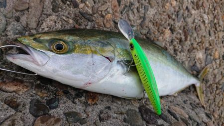 朝練して来ました❗