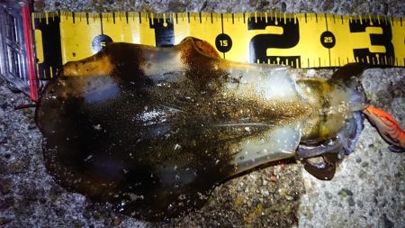 仕事終わりにちょこっと