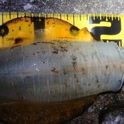 仕事帰りにちょこっと