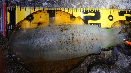 仕事帰りにちょこっと