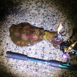 どしゃ降り爆風の中