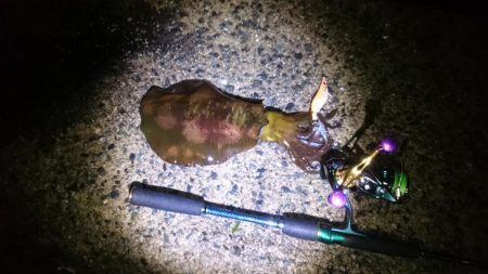 どしゃ降り爆風の中