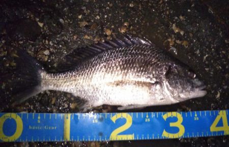 ボイルの正体は？