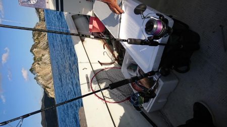 ボートフィッシング