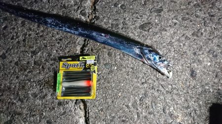 太刀魚、苦労した２匹