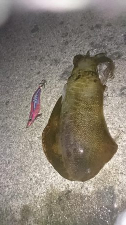 諦めかけたその時！