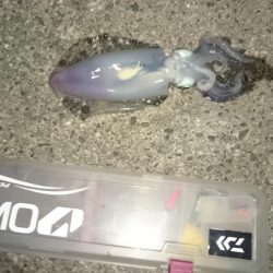 久しぶりに、行ってきました。