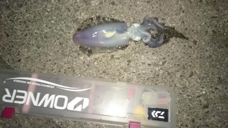 久しぶりに、行ってきました。