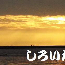 アジを釣りに和歌山遠征！