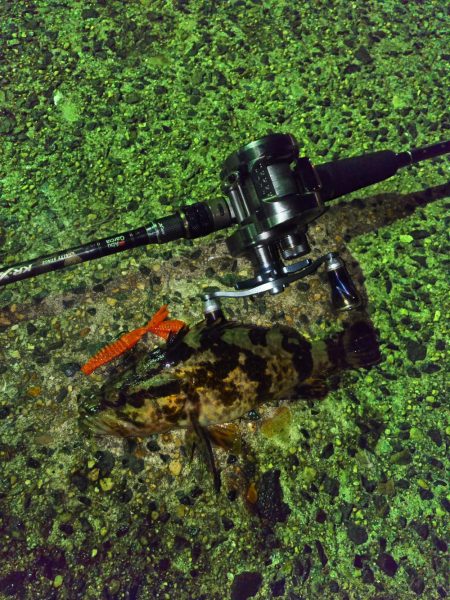 ライトロックフィッシュゲーム