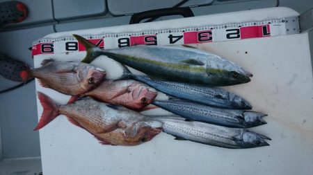 タチパターンジギング