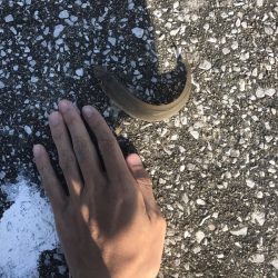 ハゼ・キス釣り