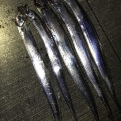 サイズがちょっと大きくなったかな