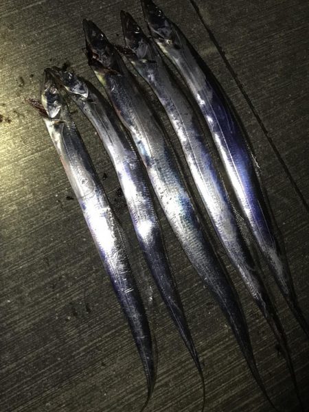 サイズがちょっと大きくなったかな