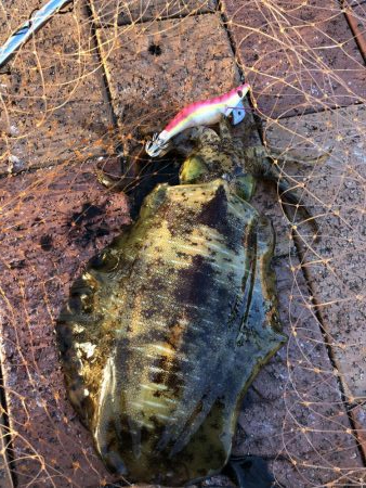 夕方仕事帰りに！