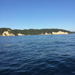 ボートエギング