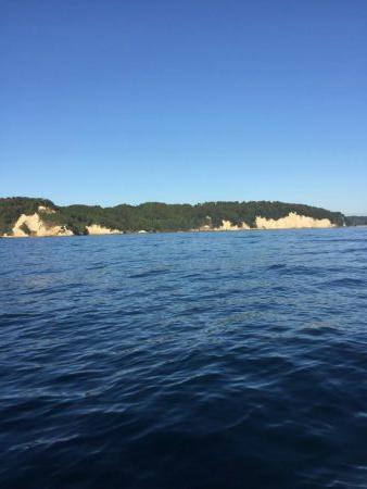 ボートエギング