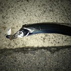 タチウオ終盤。