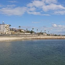 江井ヶ島漁港・根魚