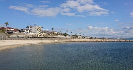 江井ヶ島漁港・根魚